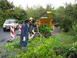 Das Bild ist zu leise.