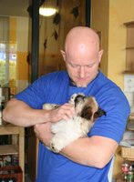 Hundebesuch beim Pfleger.