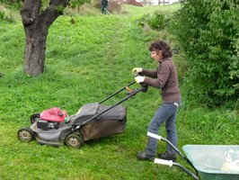 Rrrrrrasenmäherrrrr.