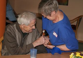 Das meistberührte Meerschwein des Tages